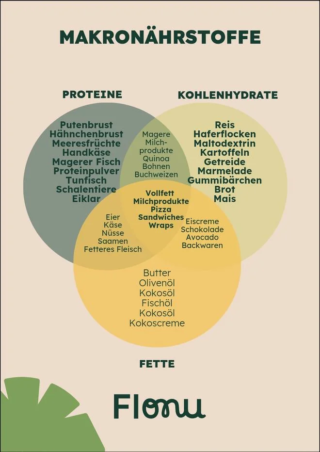 Grafik: Makronährstoffe und in welchen Lebensmitteln sie stecken